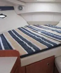 BAYLINER 315 cruise rif. 7109652