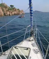 Cabinato a vela Ranger 32,7 anno 1985 natante Cabinato a vela Ranger 32,7 anno 1985 natante
