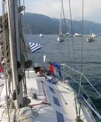Cabinato a vela Ranger 32,7 anno 1985 natante