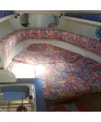 Gobbi 265 cabin Gobbi 265 cabin
