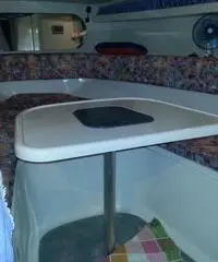 Gobbi 265 cabin