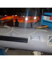 Gommone motore e carrello Gommone motore e carrello