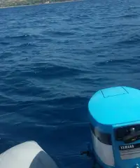 Gommone motore e carrello Gommone motore e carrello