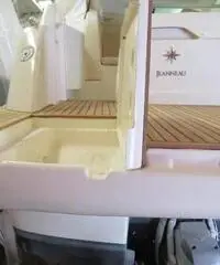 Plancetta poppa rollbar t-top renale delfiniera rollbar