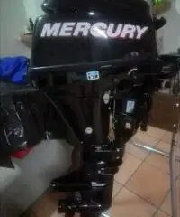 Motore mercury 9.9 4t 2011 Motore mercury 9.9 4t 2011