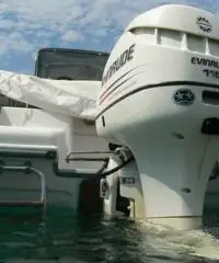 RANIERI SOVERATO 115  CV EVINRUDE