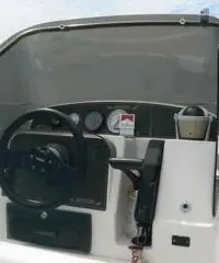 RANIERI SOVERATO 115  CV EVINRUDE