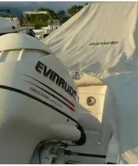 RANIERI SOVERATO 115  CV EVINRUDE
