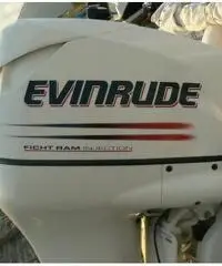 RANIERI SOVERATO 115  CV EVINRUDE