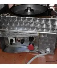 Salpapalamito verricello palangaro conzo palamito