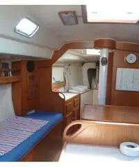 Moana 33