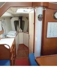 Moana 33