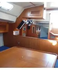 Moana 33