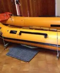 Vendo tender 320 + evinrude 9,9 2t