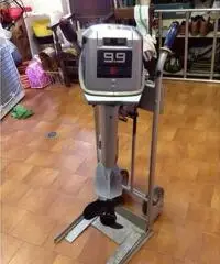 Vendo tender 320 + evinrude 9,9 2t