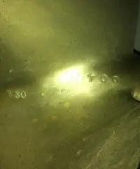Eliche offshore
