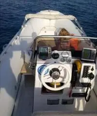 Predator 6,00 mt.