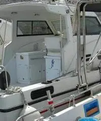 Colibrì 25