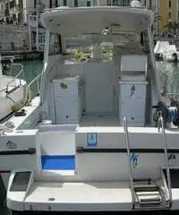 Colibrì 25