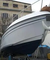 Fhisherman Gobbi 23  10.000 € trattabili