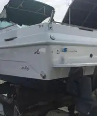 Sea Ray 25 Sundacer prezzo ribassato Sea Ray 25 Sundacer prezzo ribassato