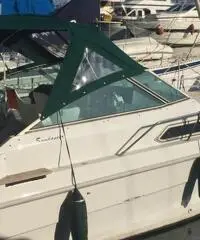 Sea Ray 25 Sundacer prezzo ribassato Sea Ray 25 Sundacer prezzo ribassato