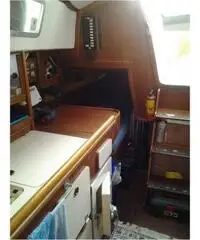 barca a vela Vagabond 33 sloop