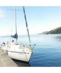 Mousse99 Plastivela vero affare