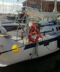 Barca a vela pronta alla boa. Pesca solo 90cm