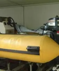 Gommone bat grifo 4.6