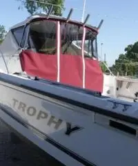 barca a motore BAYLINER Trophy anno 1995 lunghezza mt 7,5