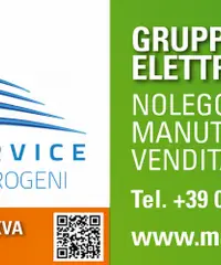 ManelService vende il motore fuoribordo HONDA BF 250 LU iST Livorno