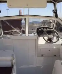 TUCCOLI  21 ( 2006 )