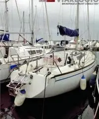 barca a vela SHOW 29 BARBERIS - 1975 - 13 hp Volvo