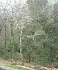 Casa indipendente a Lamporecchio in provincia di Pistoia