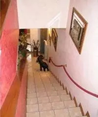 Monsummano Terme Vendita Villa