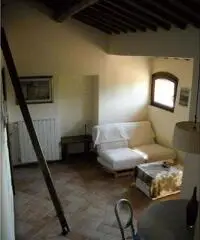 Larciano Affitto Appartamento