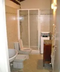 Larciano Affitto Appartamento