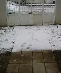 Affitto Casa indipendente a Agliana