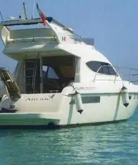 Alpa 36 Fly Alpa 36 Fly