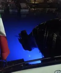 Vendo splendida Ranieri International