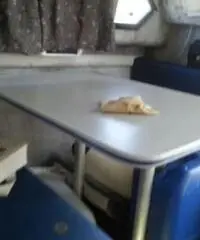 barca a motore BAYLINER 24.52 cabin anno 2003 lunghezza mt 750