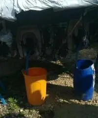 barca a motore ILVER 30 anno 1998 lunghezza mt 9,6