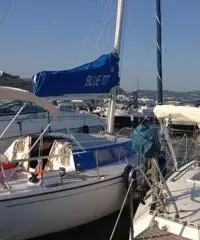 Barca a vela Comet 850 con vele nuove