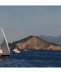 Barca a vela da regata modello Fun ottimo stato