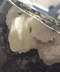 Parabrezza in acciaio inox per barca