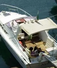 mochi craft 8 v dominator