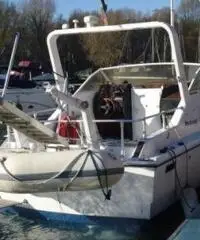 mochi craft 8 v dominator