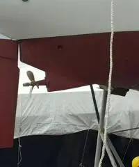 BARCA A VELA AMON 7,90