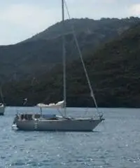 BARCA A VELA AMON 7,90